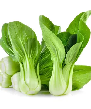 Rau Cải Thìa Xanh